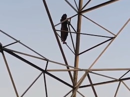 मैं तो लव मैर&zwj;िज ही करूंगी...हाईटेंशन टावर पर चढ़ी लड़की, Video कॉल पर प्रेमी से बात करवाई तब उतरी नीचे