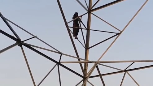 मैं तो लव मैर&zwj;िज ही करूंगी...हाईटेंशन टावर पर चढ़ी लड़की, Video कॉल पर प्रेमी से बात करवाई तब उतरी नीचे
