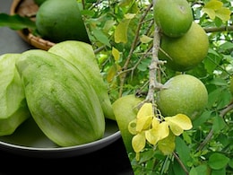 Kacchi Kairi vs Bael Fruit: Which Protects Your Body From Heatstroke?