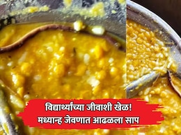 Snake Mid-Day Meal: खळबळजनक! मध्यान्ह जेवणात आढळला साप; विद्यार्थ्यांच्या जीवाशी खेळ