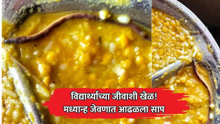 Snake Mid-Day Meal: खळबळजनक! मध्यान्ह जेवणात आढळला साप; विद्यार्थ्यांच्या जीवाशी खेळ