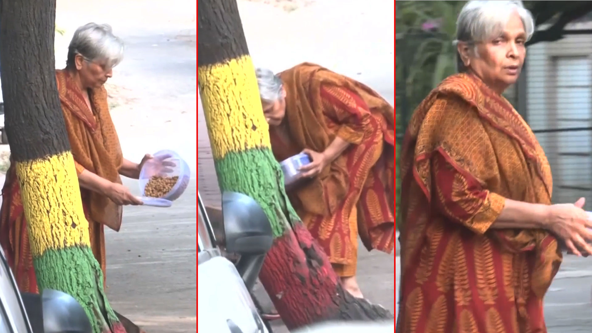 Twisha Sharma Case: Giribala Singh Seen Feeding Stray Dog A Day After Bail Relief Rejected