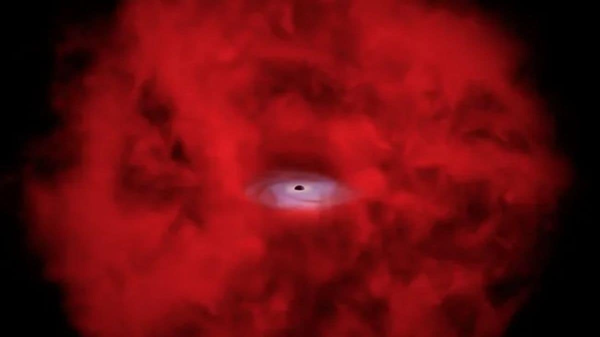 James Webb Space Telescope Little Red Dots May Reveal Birth of Black Holes