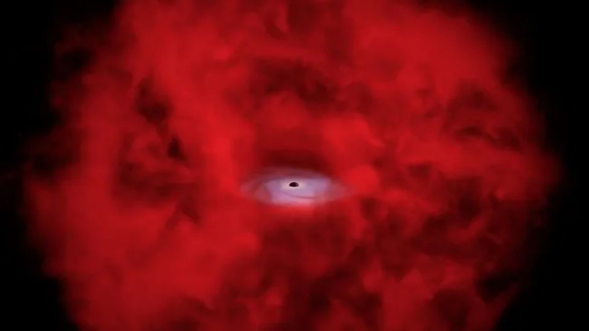 James Webb Space Telescope Little Red Dots May Reveal Birth of Black Holes