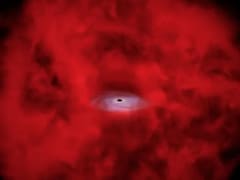 James Webb Space Telescope Little Red Dots May Reveal Birth of Black Holes