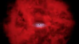 James Webb Space Telescope Little Red Dots May Reveal Birth of Black Holes