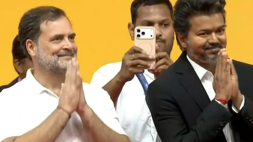 Behind The New Bonhomie Between Vijay And Rahul Gandhi