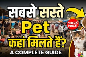 सबसे सस्ते Pet कहां मिलते हैं? ये हैं भारत की 3 मशहूर मार्केट!