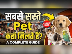 सबसे सस्ते Pet कहां मिलते हैं? ये हैं भारत की 3 मशहूर मार्केट!