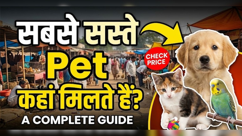 सबसे सस्ते Pet कहां मिलते हैं? ये हैं भारत की 3 मशहूर मार्केट!
