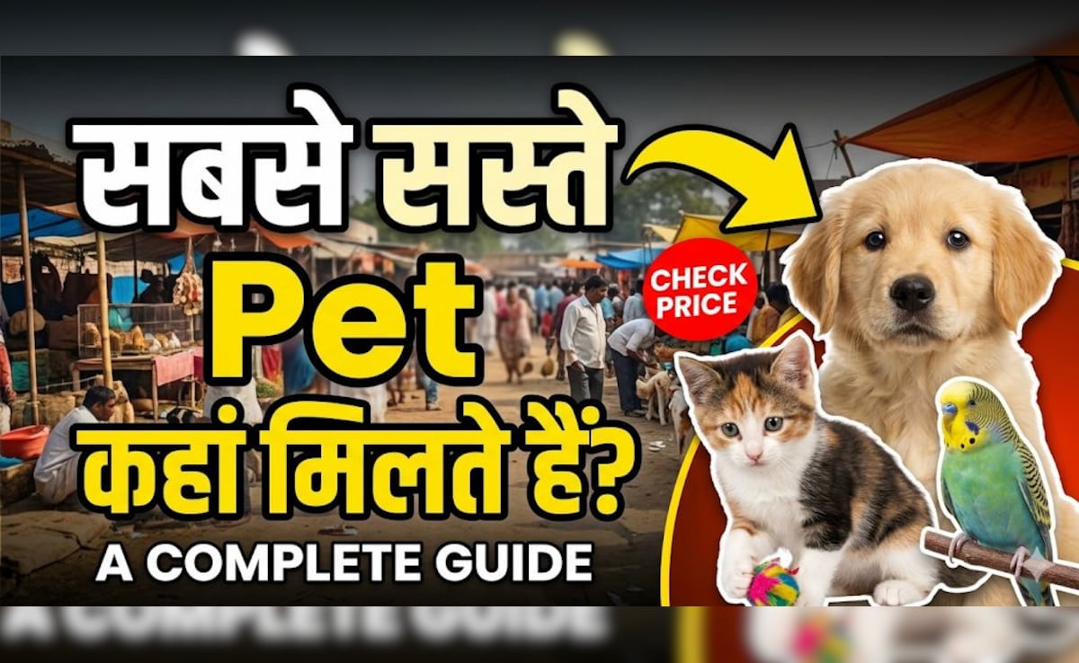 सबसे सस्ते Pet कहां मिलते हैं? ये हैं भारत की 3 मशहूर मार्केट! | Sabse ...