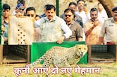 चीतों को रास आई कूनो नेशनल पार्क की आबो-हवा, फिर बढ़ा चीतों का कुनबा, सीएम मोहन ने आज फिर छोड़े 2 चीते