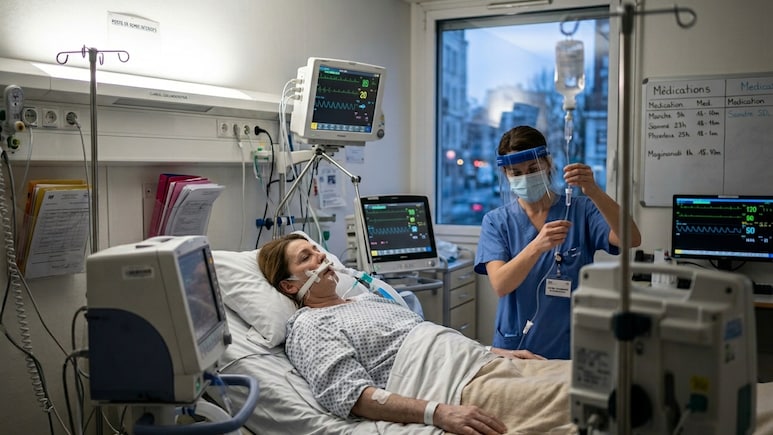 Hantavirus Outbreak: French Patient In Critical Care As Cases Grow To 11