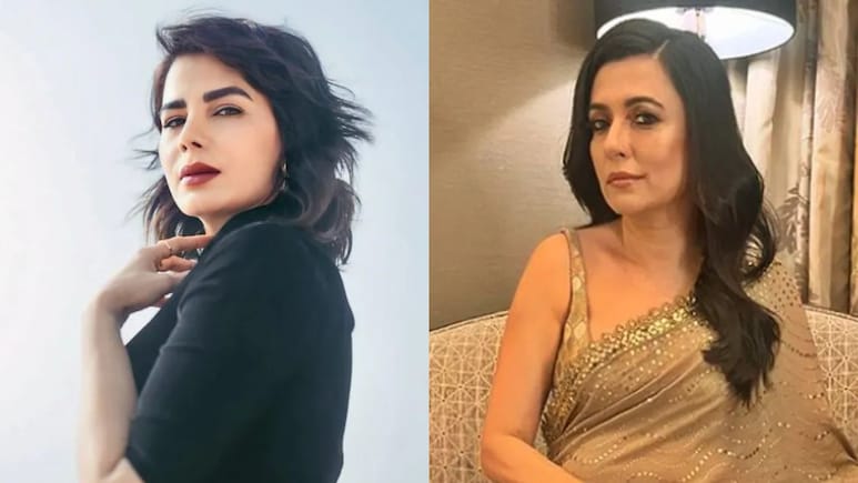 Kirti Kulhari's 'Rs 10,000 For 2 Hours' Old Comment Sparks Debate On Domestic Help Pay, Mini Mathur Reacts