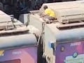 Kalyan News: डोकं फिरलं आणि थेट AC लोकलचं टप गाठलं! कल्याण स्टेशनमध्ये पोलिसांची धावपळ; पाहा नेमकं काय घडलं?