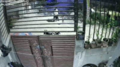 जयपुर: 4 साल की मासूम को खाली प्लॉट में ले जाकर 2 नाबालिगों ने की छेड़छाड़, चिल्लाने पर पड़ोसियों भागकर बचाई जान