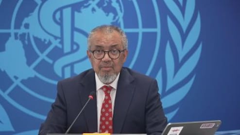 Hantavirus Risk Low In Africa, But Preparedness Urged By WHO