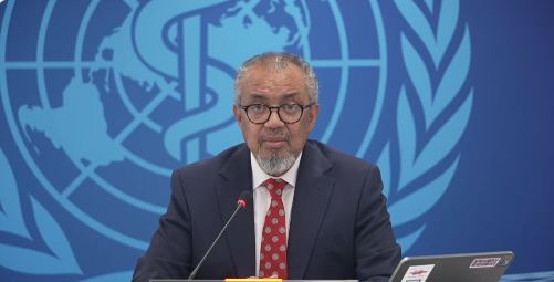 Hantavirus Risk Low In Africa, But Preparedness Urged By WHO