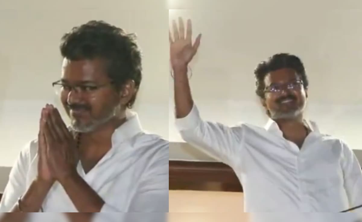Watch: Vijay Makes First Public Appearance After TVK Wins Tamil Nadu Elections, Waves To Fans From Balcony