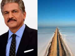 Anand Mahindra Is Captivated By Gujarat's 'Road To Heaven' Scenic Drive