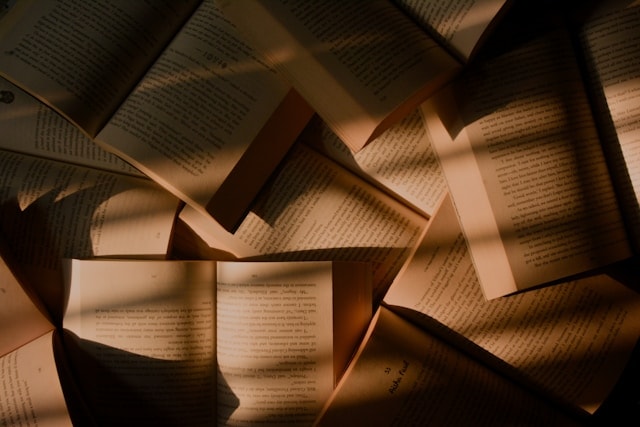 Fictional books help dull the edges of the world we live in