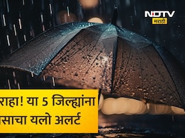 Rain Alert: कुठे यलो तर कुठे रेड अलर्ट! उष्णतेमुळे विदर्भाची होतेय भट्टी तर 'या' 5 जिल्ह्यांत पावसाचा इशारा
