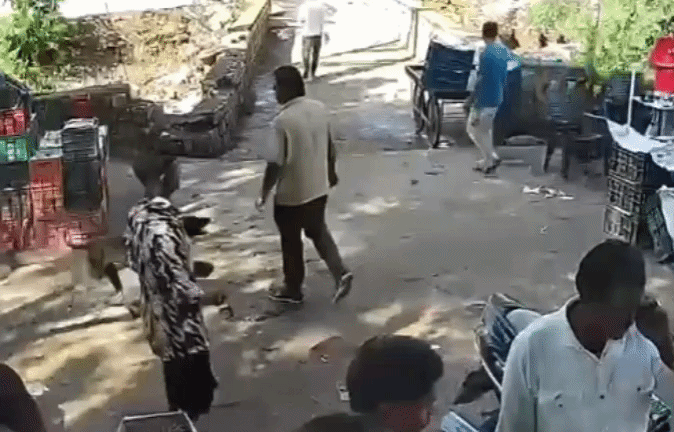 आवारा कुत्ते ने ढाई साल की मासूम का चेहरा नोचा! राहगीरों पर किया हमला, एक दिन में 65 को बनाया शिकार