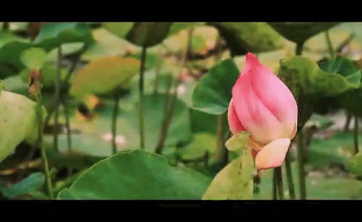 Story image