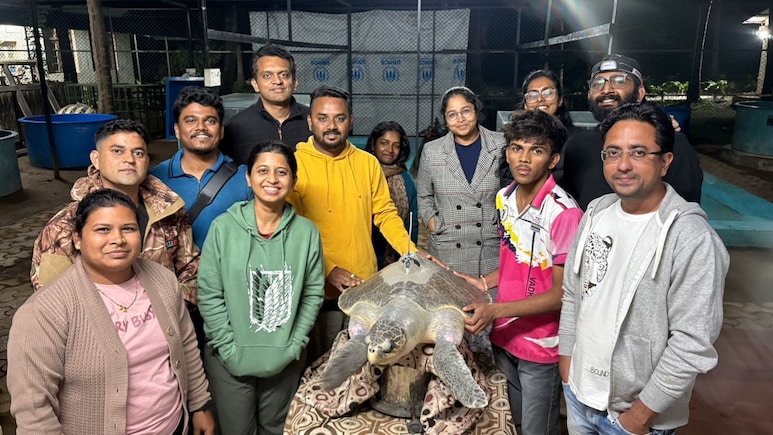 &lsquo;Dhavallakshmi turtle: "एका कासवाची वेगळी गोष्ट!" डहाणूच्या &lsquo;धवललक्ष्मी&rsquo;ची अथांग समुद्रभ्रमंती