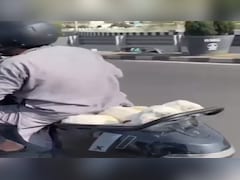 भोपाल का गजब 'बकरी बूट स्पेस': ओला स्कूटर में सफर करते दिखे बकरी के बच्चे, वायरल हुआ मजेदार वीडियो