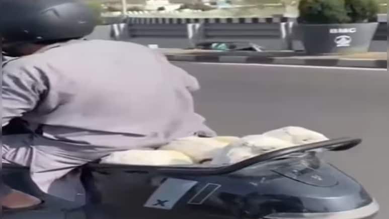 भोपाल का गजब 'बकरी बूट स्पेस': ओला स्कूटर में सफर करते दिखे बकरी के बच्चे, वायरल हुआ मजेदार वीडियो