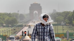 20 Die Of Heatstroke Since March In India, Telangana Logs Most Cases: Centre
