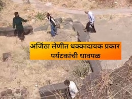 honeybee Attack: आरडा ओरडा, धावपळ..  अजिंठा लेणीत धक्कादायक प्रकार; 100 पर्यटक जखमी