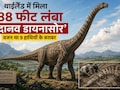 थाईलैंड में मिला एशिया का सबसे विशाल डायनासोर, 9 हाथियों जितना था वजन