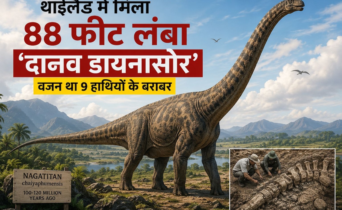 थाईलैंड में मिला एशिया का सबसे विशाल डायनासोर, 9 हाथियों जितना था वजन