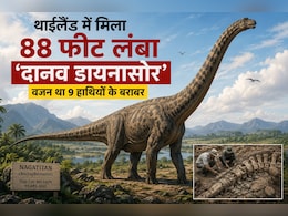 थाईलैंड में मिला एशिया का सबसे विशाल डायनासोर, 9 हाथियों जितना था वजन