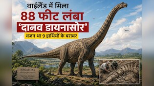 थाईलैंड में मिला एशिया का सबसे विशाल डायनासोर, 9 हाथियों जितना था वजन