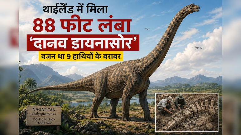 थाईलैंड में मिला एशिया का सबसे विशाल डायनासोर, 9 हाथियों जितना था वजन
