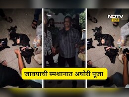 Pune News: जावयाकडून सासू-सासऱ्यावर काळी जादू, स्मशानात केलं अघोरी कृत्य, Video होतोय व्हायरल