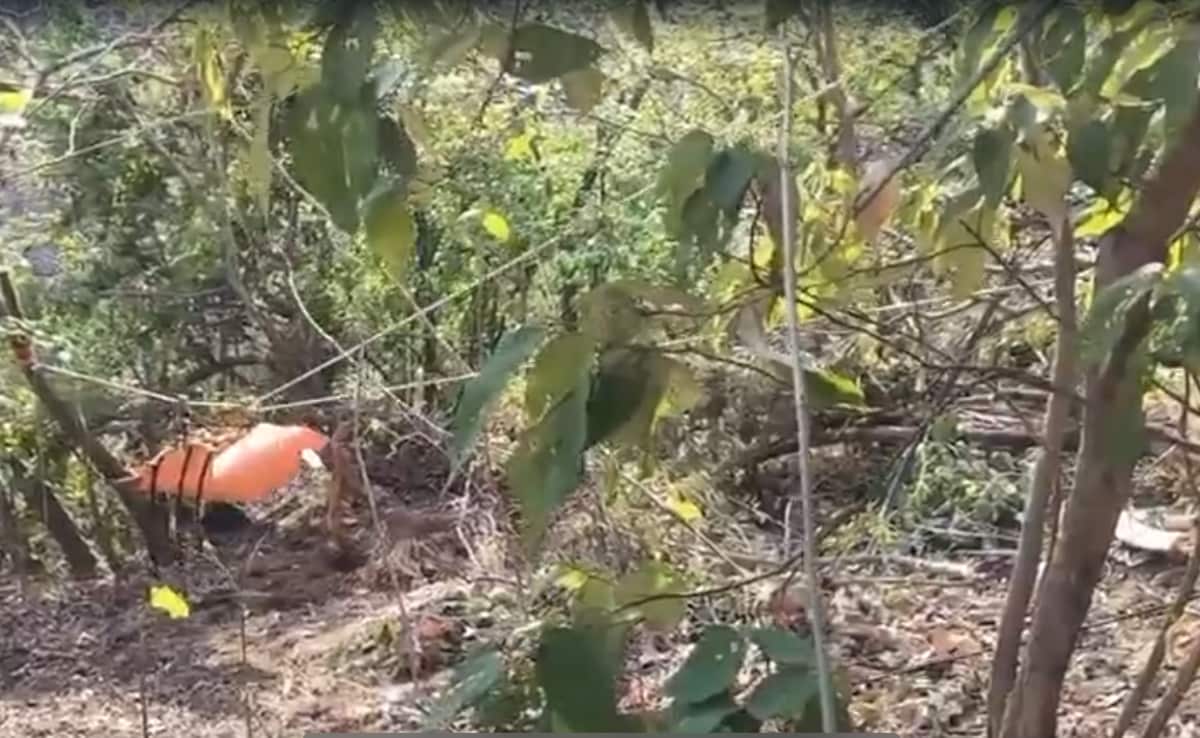 बेटे का फोन नहीं लगा तो पिता ने ट्रैक की लोकेशन, महाराष्ट्र में खाई में कार गिरने से हुई थी 8 दोस्तों की मौत