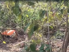बेटे का फोन नहीं लगा तो पिता ने ट्रैक की लोकेशन, महाराष्ट्र में खाई में कार गिरने से हुई थी 8 दोस्तों की मौत