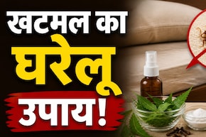 इन 3 घरेलू नुस्खों से रातों-रात गायब हो जाएंगे बिस्तर के खटमल, बिना टेंशन आएगी चैन की नींद