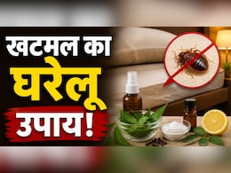 इन 3 घरेलू नुस्खों से रातों-रात गायब हो जाएंगे बिस्तर के खटमल, बिना टेंशन आएगी चैन की नींद