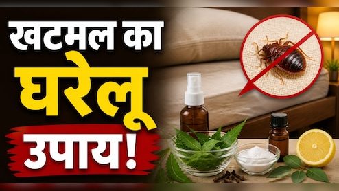 इन 3 घरेलू नुस्खों से रातों-रात गायब हो जाएंगे बिस्तर के खटमल, बिना टेंशन आएगी चैन की नींद