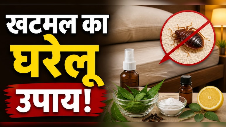 इन 3 घरेलू नुस्खों से रातों-रात गायब हो जाएंगे बिस्तर के खटमल, बिना टेंशन आएगी चैन की नींद