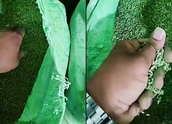 3,500 kg Of Saunf Adulterated With Unsafe Green Colour Seized In Gujarat