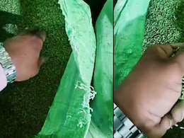3,500 kg Of <i>Saunf</i> Adulterated With Unsafe Green Colour Seized In Gujarat