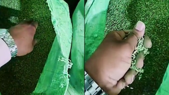 3,500 kg Of Saunf Adulterated With Unsafe Green Colour Seized In Gujarat