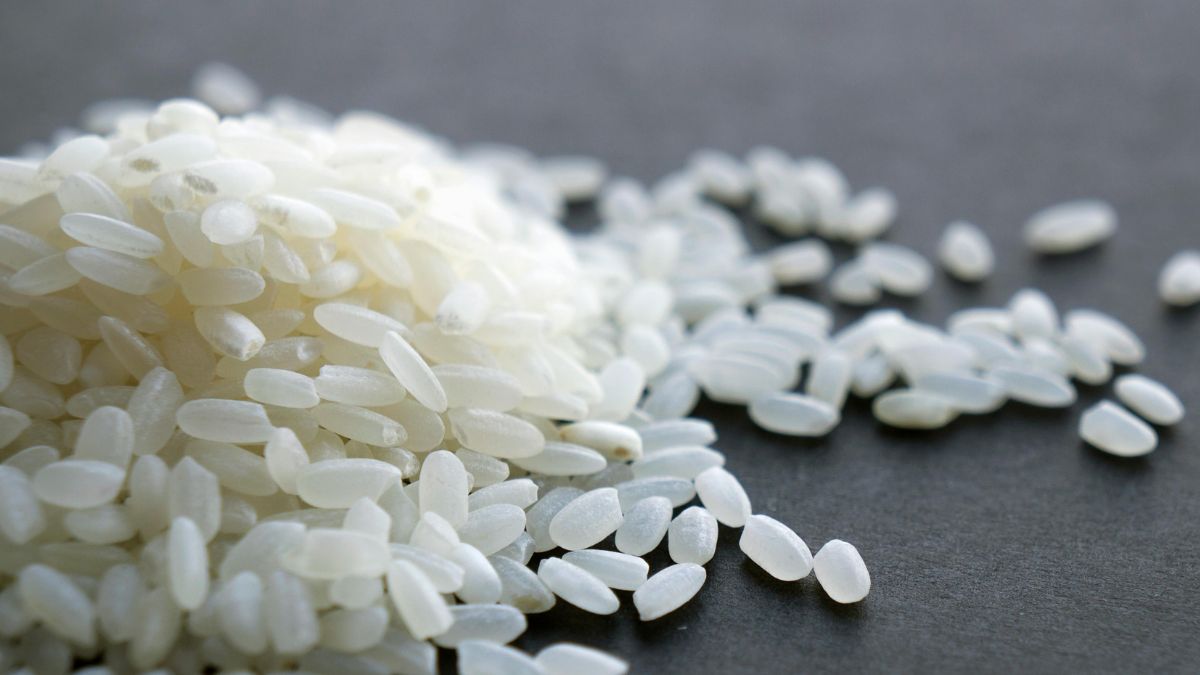 PM Modi Gifts Joha Rice To UN Food Panel Chief. Why Is This Grain Special?