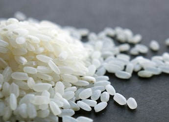 https://food.ndtv.com/food-drinks/pm-modi-gifts-assams-joha-rice-to-un-food-panel-chief-why-this-tiny-fragrant-grain-is-so-special-11529210